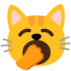 😺❤️Cat Emojis😺 28