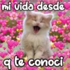 mi vida desde
cokki
q te conoci