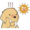 丸