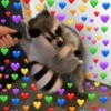 Being Raccoon Ep.1 20