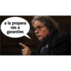 sorpresa 14