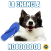 LA CHANCLA
0000000000000
P