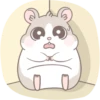 Hamster Little Oocha 倉鼠小茶 5