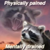 Being Raccoon Ep.2 5