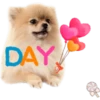 Dog expressions 5