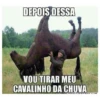 DEPOIS DESSA
VOU TIRAR MEU
CAVALINHO DA CHUVA
GERANORMEMES COM