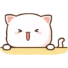 MOCHICAT#1 MOV 7