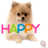 Dog expressions 6