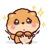 Pompi Dog 6