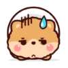 Pompi Dog 7