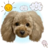 Dog expressions 7
