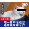 受訪的貓星人P.2/P.2 7