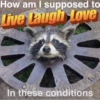 Being Raccoon Ep.2 8