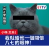 受訪的貓星人P.2/P.2 10