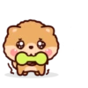 Pompi Dog 11