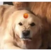 emoticones 1 15