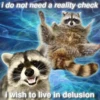 Being Raccoon Ep.2 9