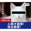 受訪的貓星人P.2/P.2 11