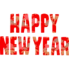 HAPPY NEW YEAR
