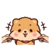 Pompi Dog 14
