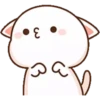 MOCHICAT#1 MOV 12