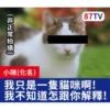 受訪的貓星人P.2/P.2 13