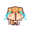 Pompi Dog 16