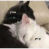 you
me
