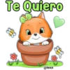 Te Quiero
@lexa