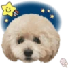Dog expressions 13