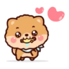 Pompi Dog 17