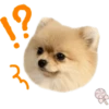 Dog expressions 14