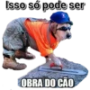 Isso só pode ser
OBRA DO CÃO
