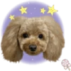 Dog expressions 15