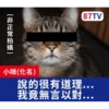 受訪的貓星人P.1/P.2 11