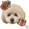 Dog expressions 17