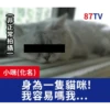 受訪的貓星人P.2/P.2 16