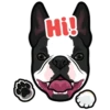 Hugo 7