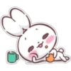 Milly Bunny      Clásica 10