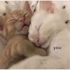 me
you
