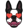 Hugo 8