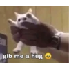 FAM
gib me a hug