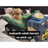 @convom
makasih udah berani
se pick-up
95