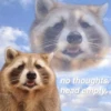 Being Raccoon Ep.2 12