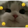 emoticones 1 20