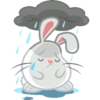 miau 15