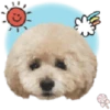 Dog expressions 22