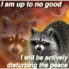 Being Raccoon Ep.2 14