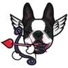Hugo 10