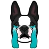 Hugo 11